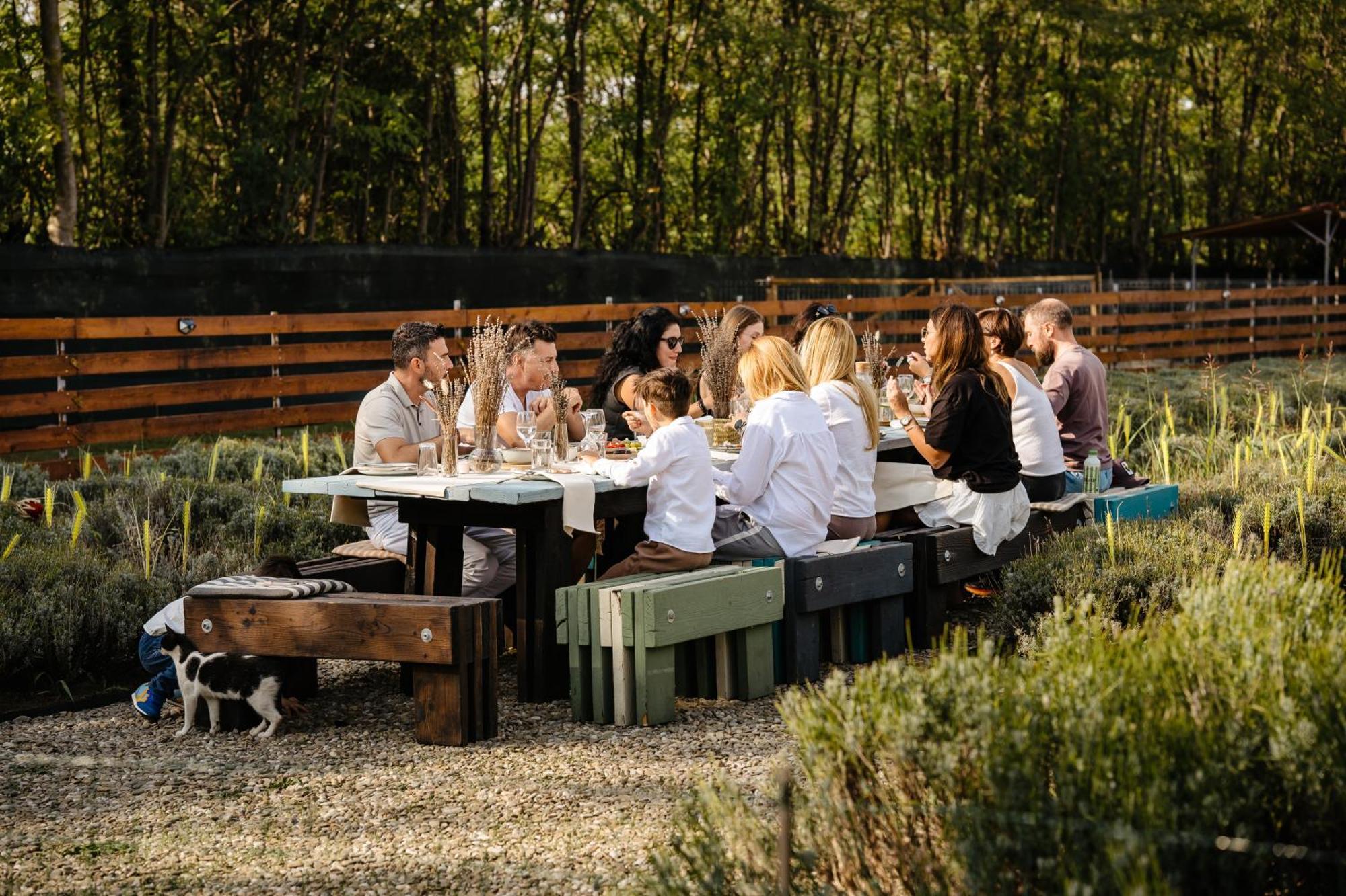 The Tribe Alpaca Retreat Hotel Branesti ภายนอก รูปภาพ
