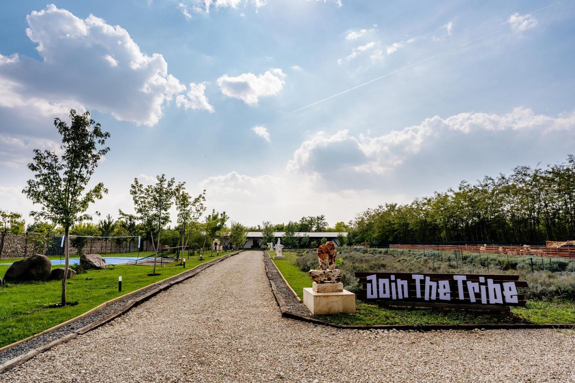 The Tribe Alpaca Retreat Hotel Branesti ภายนอก รูปภาพ