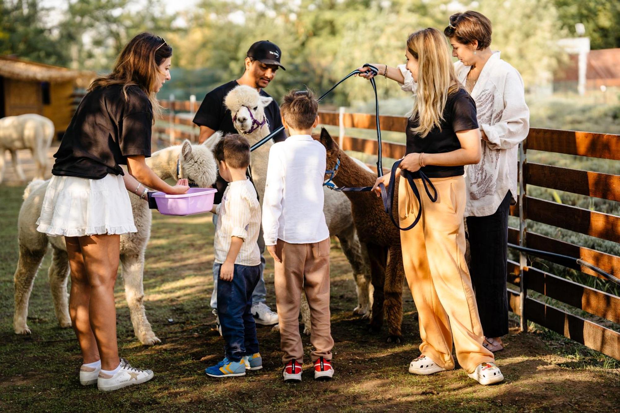 The Tribe Alpaca Retreat Hotel Branesti ภายนอก รูปภาพ