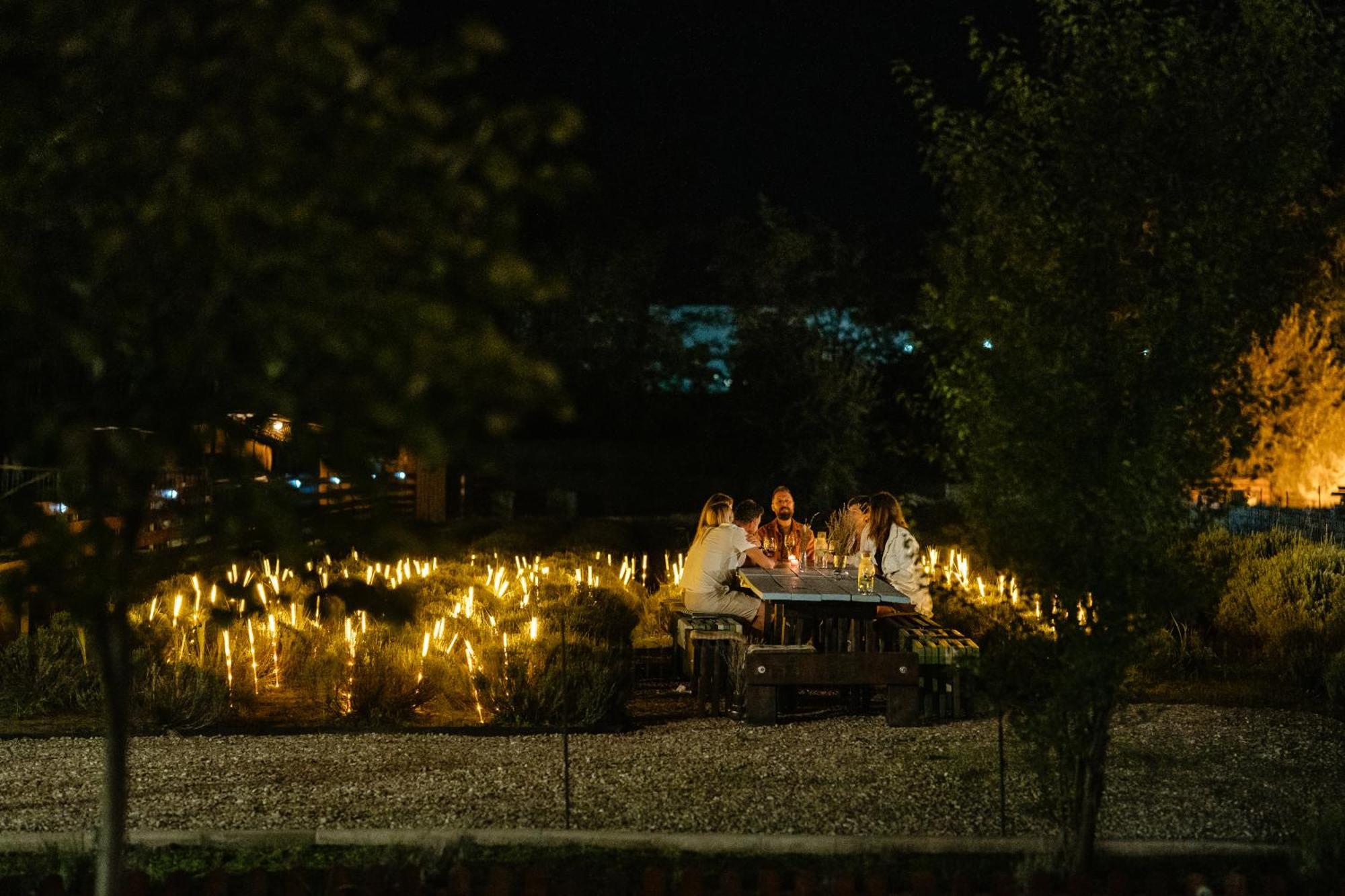 The Tribe Alpaca Retreat Hotel Branesti ภายนอก รูปภาพ