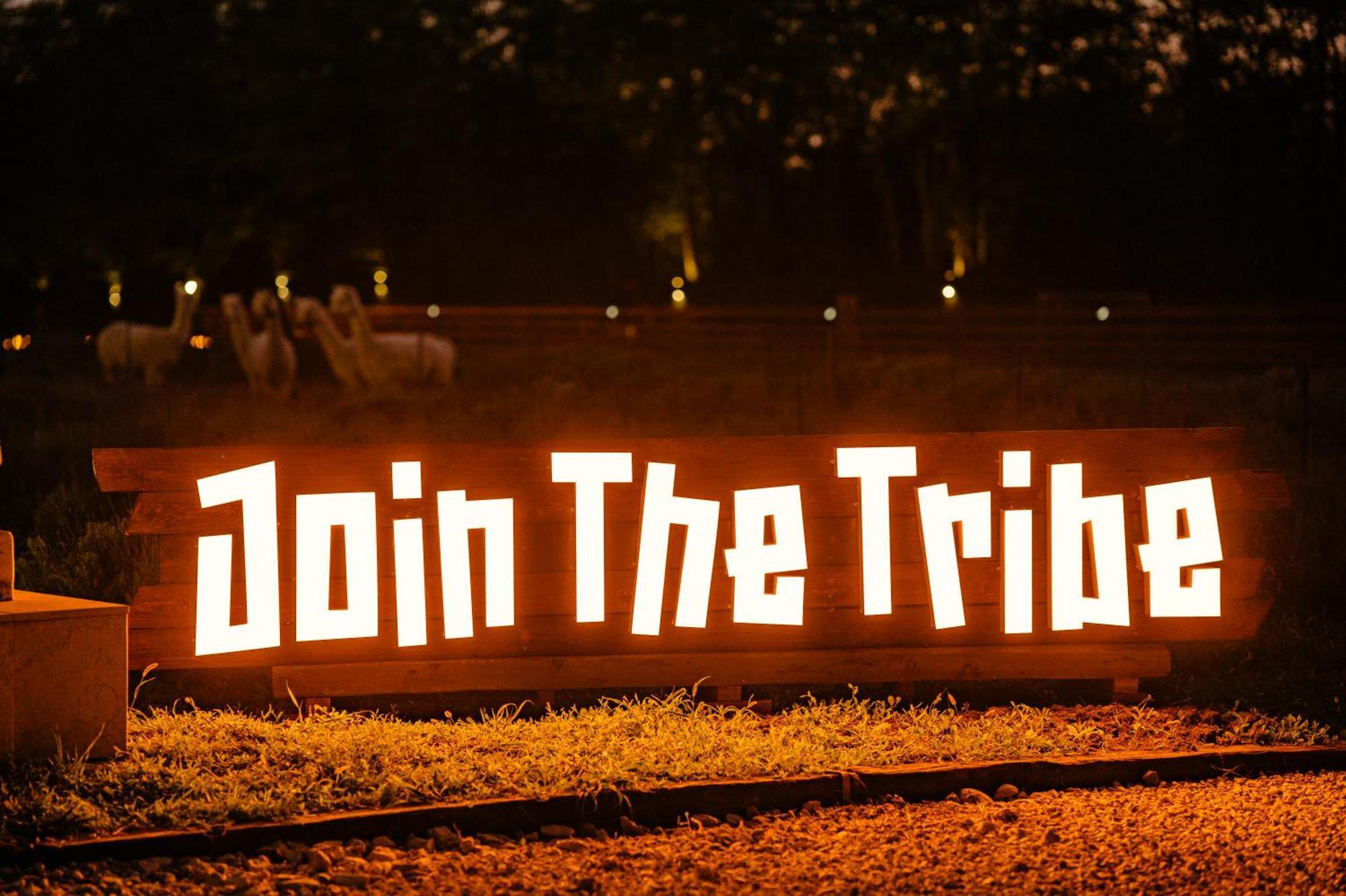 The Tribe Alpaca Retreat Hotel Branesti ภายนอก รูปภาพ