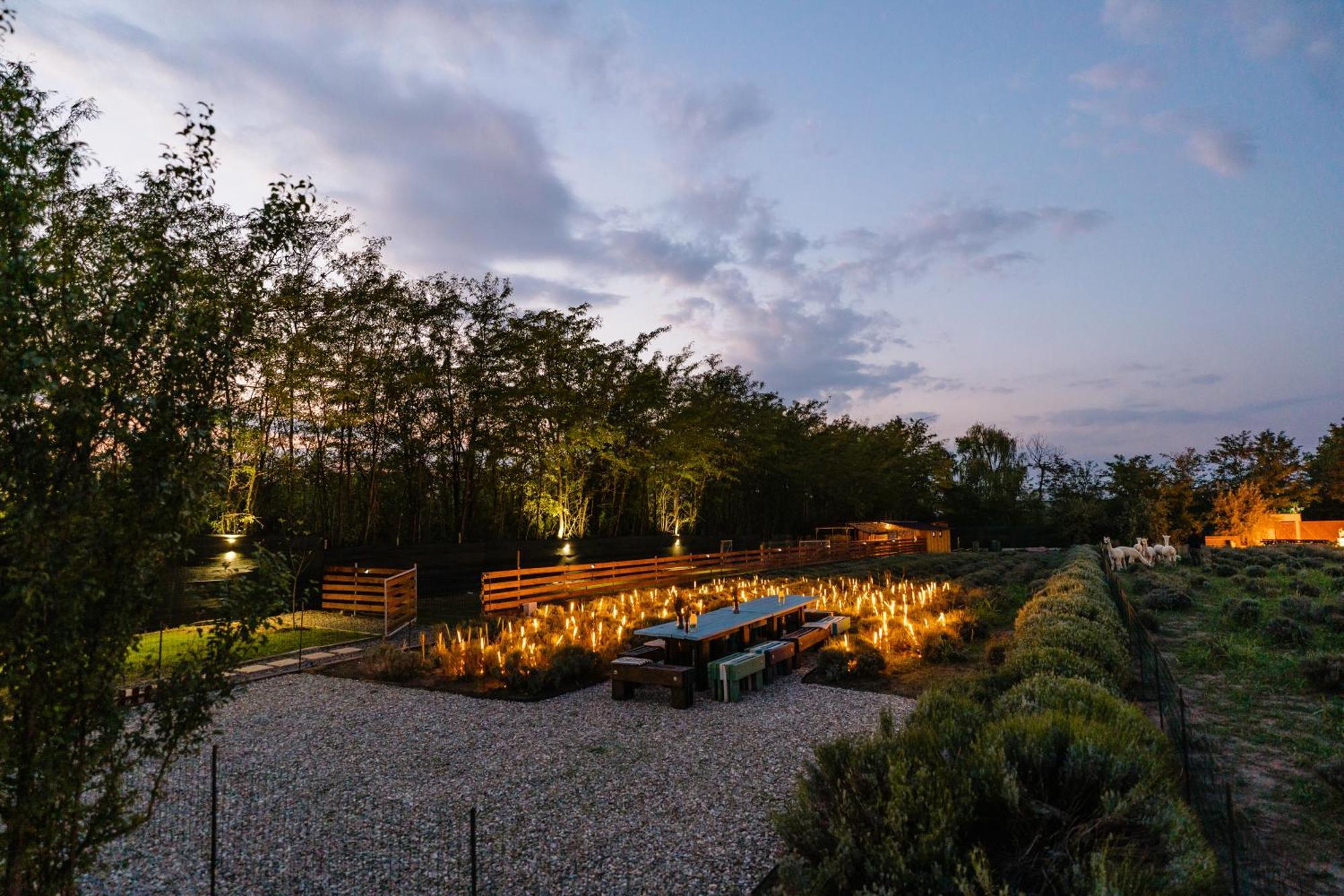 The Tribe Alpaca Retreat Hotel Branesti ภายนอก รูปภาพ