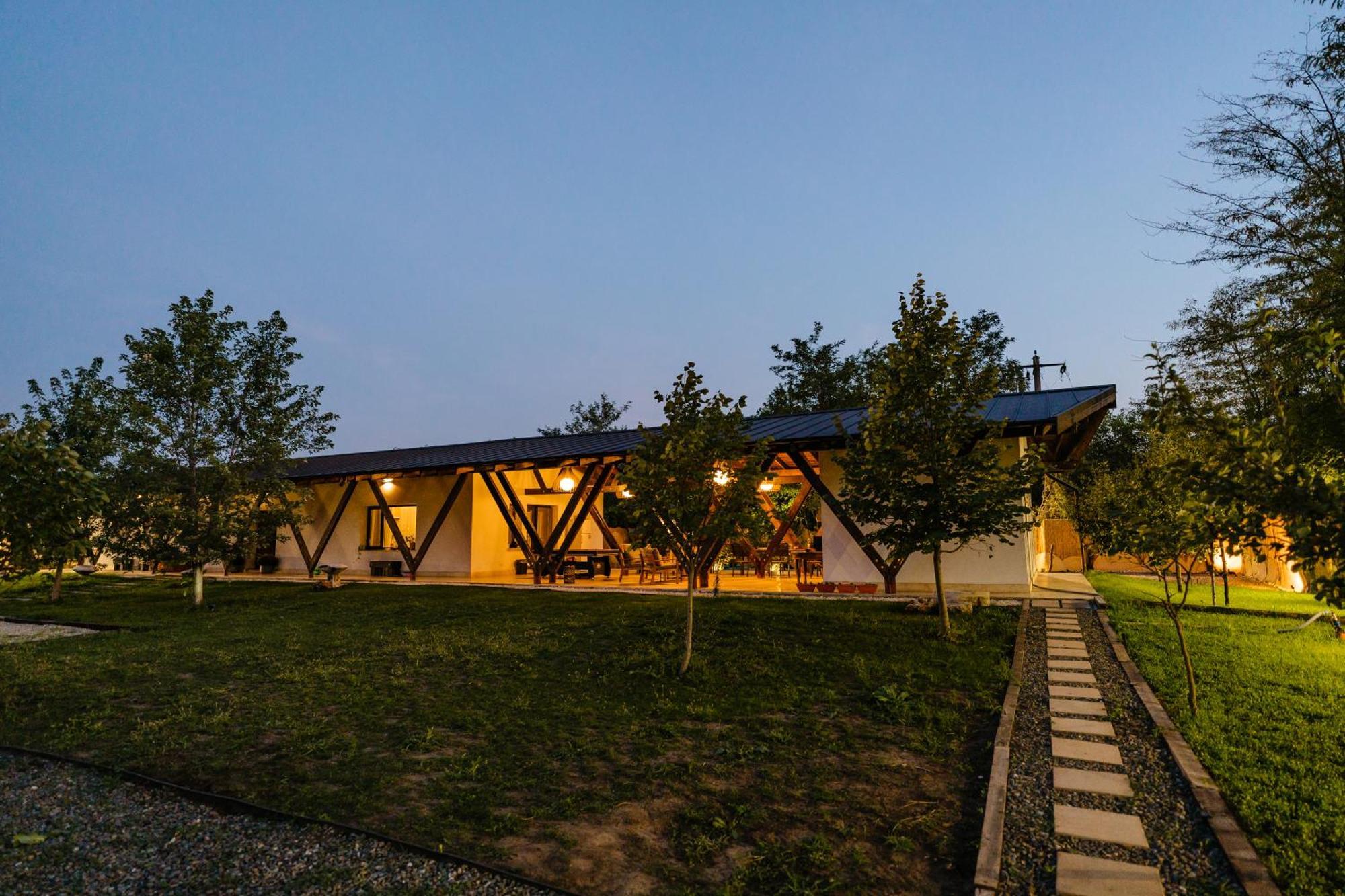 The Tribe Alpaca Retreat Hotel Branesti ภายนอก รูปภาพ