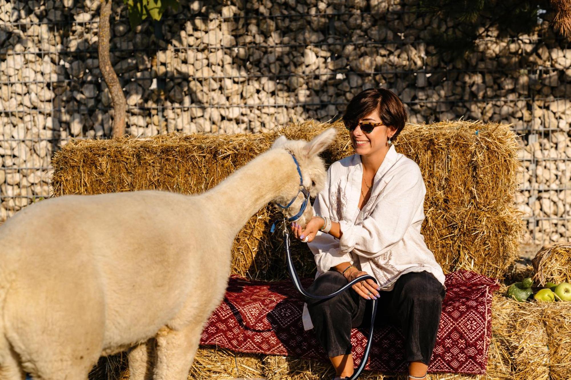 The Tribe Alpaca Retreat Hotel Branesti ภายนอก รูปภาพ