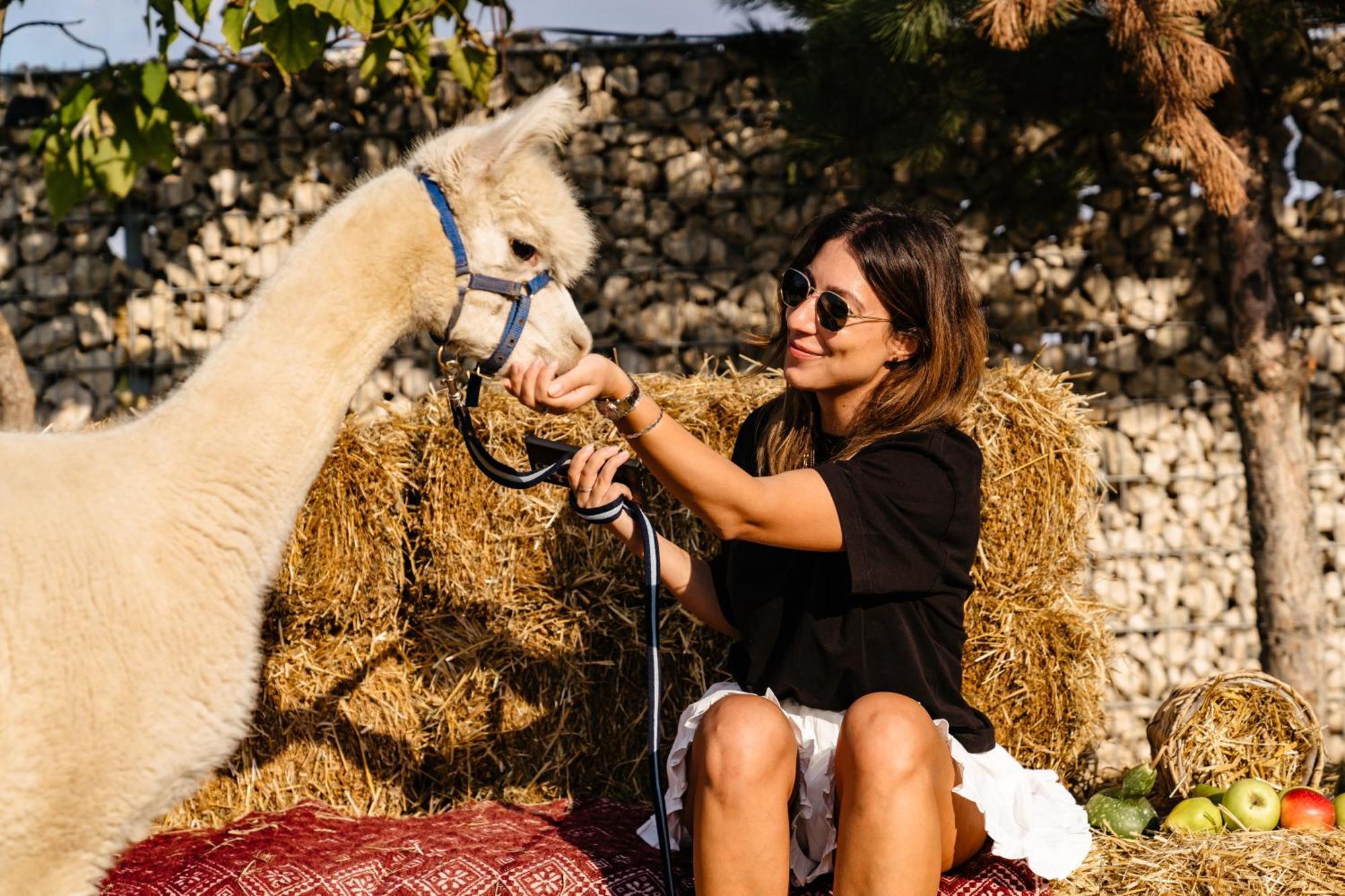 The Tribe Alpaca Retreat Hotel Branesti ภายนอก รูปภาพ